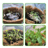 Plant Growing Paper