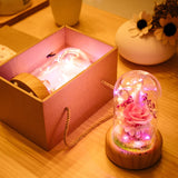 dreamer glass dome speaker corporate gift door gift
