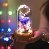 dreamer glass dome speaker corporate gift door gift