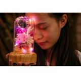 dreamer glass dome speaker corporate gift door gift