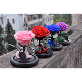 roses in glass dome corporate gifts door gift