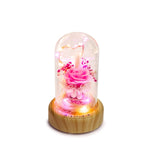 dreamer glass dome speaker corporate gift door gift
