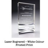 sg-28 recxon acrylic award corporate gifts door gift