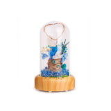 dreamer glass dome speaker corporate gift door gift