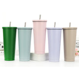 500ml double wall full ss cup with straw door gifts corporate gift