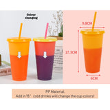 Magic Cold Cup Straw Tumbler