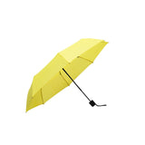 mini umbrella corporate gifts door gift