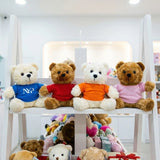 Plush teddy bear 17cxm for corporate branding and gifts in Singapore.