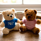 Plush teddy bear 17cxm for corporate branding and gifts in Singapore.