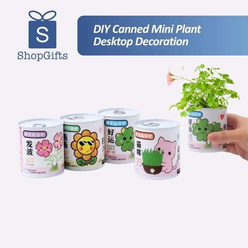 Eco-Friendly DIY Canned Desktop Plant Kit with lush green clover growing from a decorative white tin can _ corporate gifts