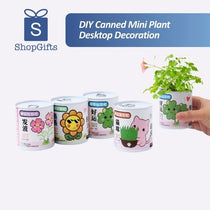 Eco-Friendly DIY Canned Desktop Plant Kit with lush green clover growing from a decorative white tin can _ corporate gifts