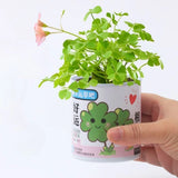 Eco-Friendly DIY Canned Desktop Plant Kit with lush green clover growing from a decorative white tin can _ corporate gifts