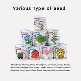 Eco-Friendly DIY Canned Desktop Plant Kit with lush green clover growing from a decorative white tin can _ corporate gifts