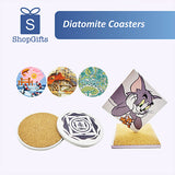 Diatomite Coasters