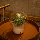 Eternalfloweraromadiffuser_Giftshop