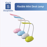 Flexible Mini Desk Lamp