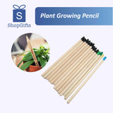 Plant Growing Pencil