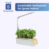 Sustainable Hydroponic Set (grow indoor)