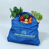 corporate_gift_Shanghai TEC Foldable Nylon Bag_Shopgifts