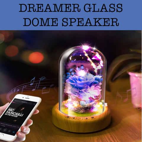 dreamer glass dome speaker corporate gift door gift