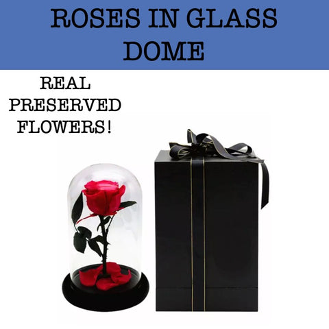 roses in glass dome corporate gifts door gift