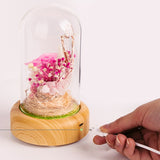 dreamer glass dome speaker corporate gift door gift